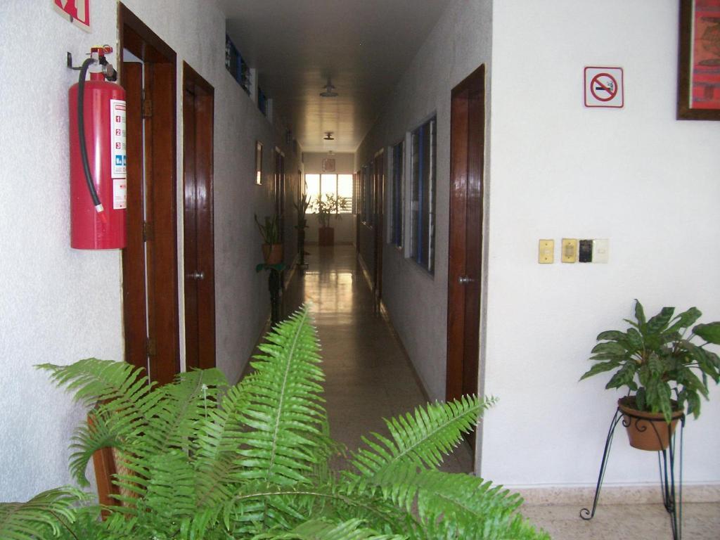 Hotel Acuario Катемако Екстериор снимка